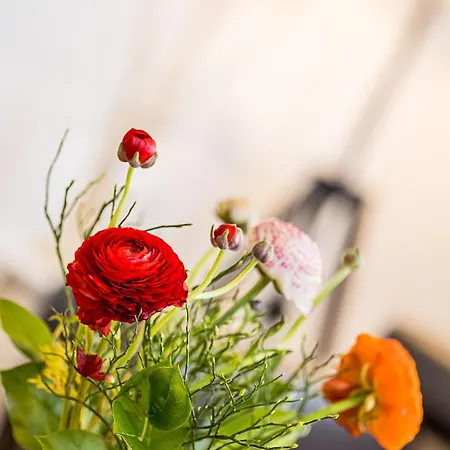 Velden - Spacious In A Right In The Center With Private Parking فيلدين ام ورثرسي