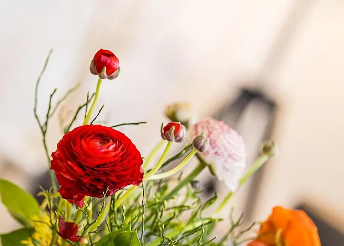 Appartement Johst Am Woerthersee Velden am Wörthersee